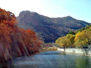 新澳天天开奖资料大全旅游团，人脸识别考勤机